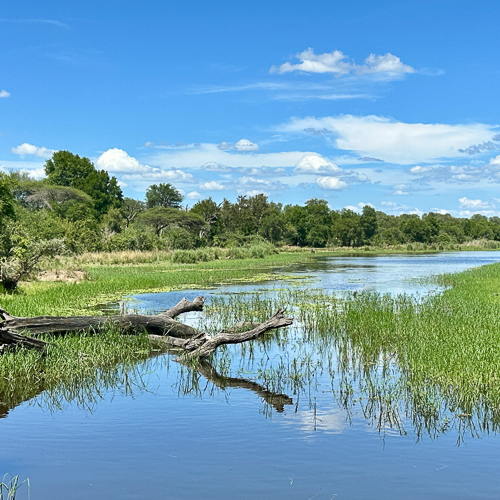 Beautiful scenery in the Kruger National Park